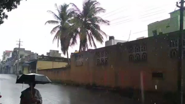 Courtallam Falls flooded with water due to good rain 