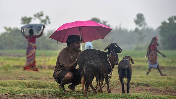 சென்னை வானிலை ஆய்வு மையம் 
