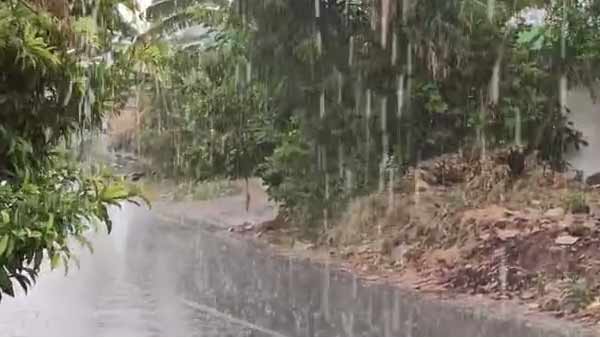 தென் மாவட்டங்கள் 