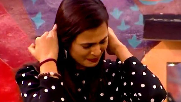 தனிக்காட்டு ராஜா 