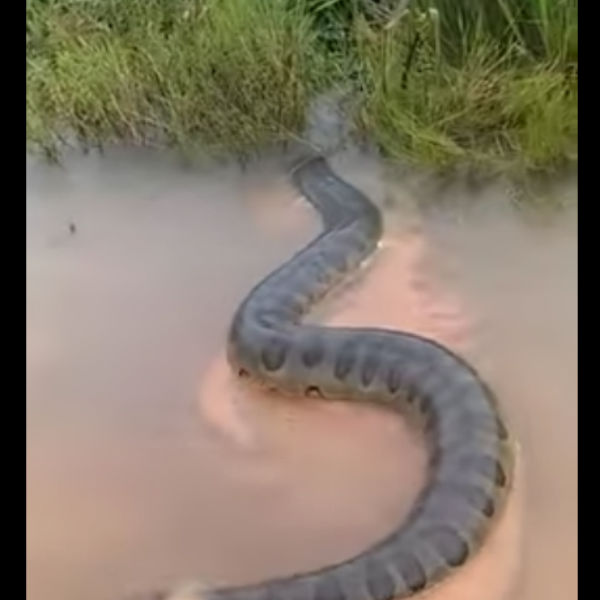 எல்லாமே டுபாக்கூர்