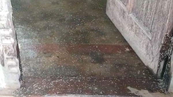 விசாரணை 