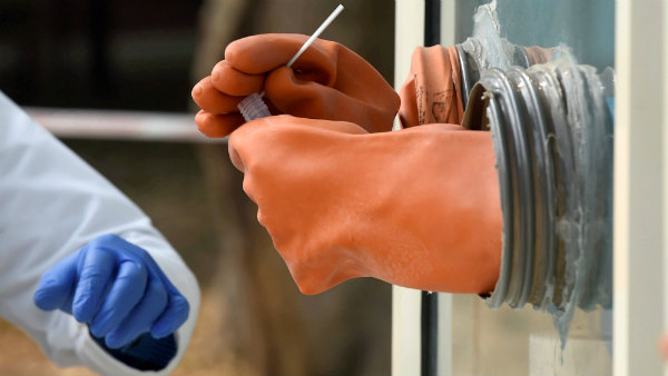 டெஸ்ட் எண்ணிக்கை 