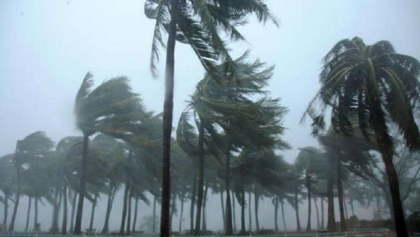 போர்க்கால அடிப்படையில் உத்தரவு 