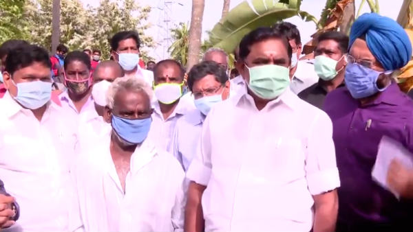 வாழை மரங்கள் 