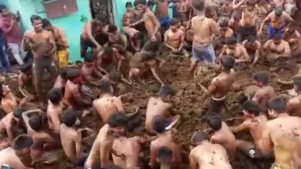 Erode Saniyadi Festival: A bizarre festival of throwing cow dung in erode Erode Saniyadi Festival: A bizarre festival of throwing cow dung in erode