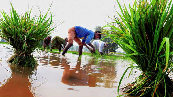விவசாயிகளுக்கு கடன் 