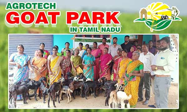 Agrotech companys Goat Bank for farmers 