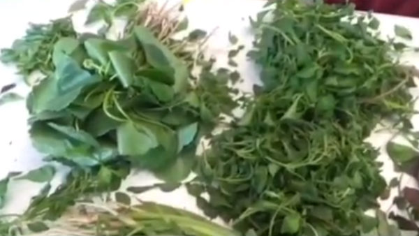 பொருள்கள் இல்லை 