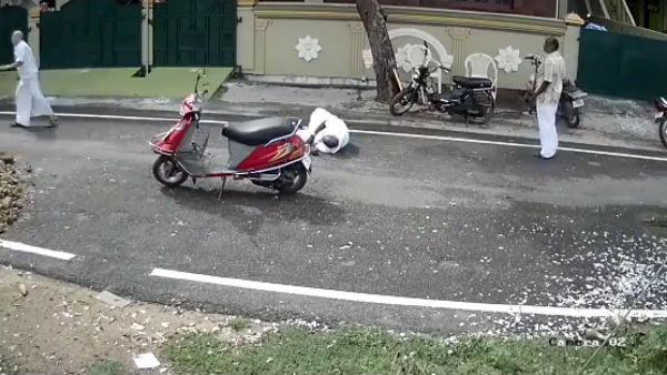 துப்பாக்கி உரிமம் துப்பாக்கி உரிமம்