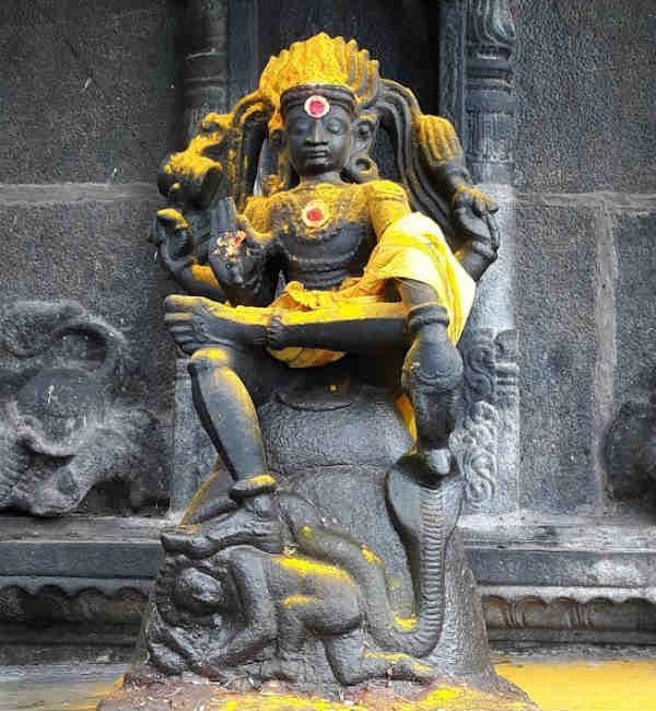 சித்தா ஆயுர்வேதம் 