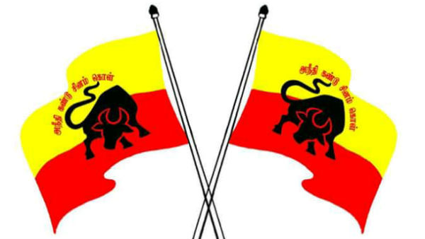 இளம் காளைகள் 