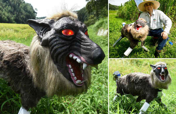 எச்சரிக்கை ஒலி எச்சரிக்கை ஒலி