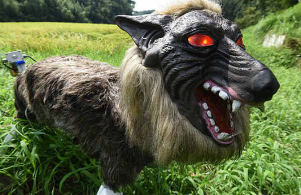 ராட்சத ஓநாய் ரோபோக்கள் ராட்சத ஓநாய் ரோபோக்கள்