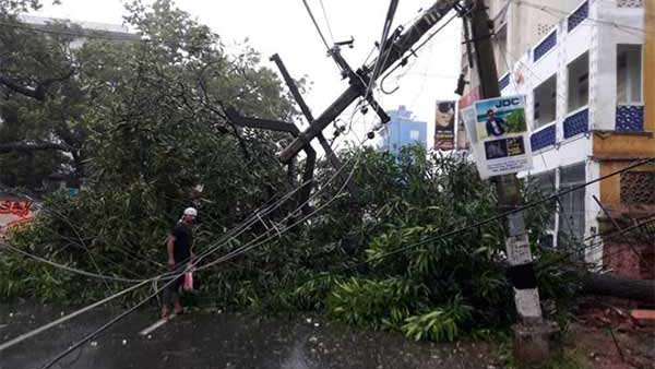 மின் கம்பங்கள் 