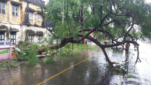 Nivar Cyclone has claimed 3 lives so far 