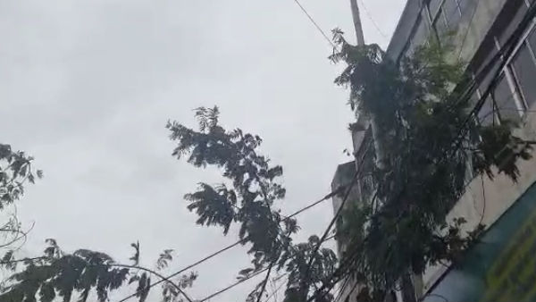 கடலோர மாவட்டங்கள் 