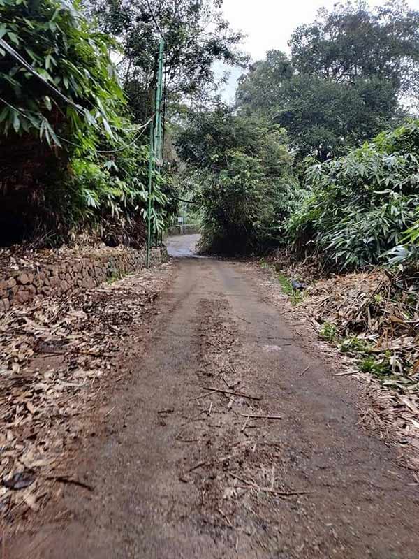  நீலிமலை, அப்பச்சி மேடு பாதை 