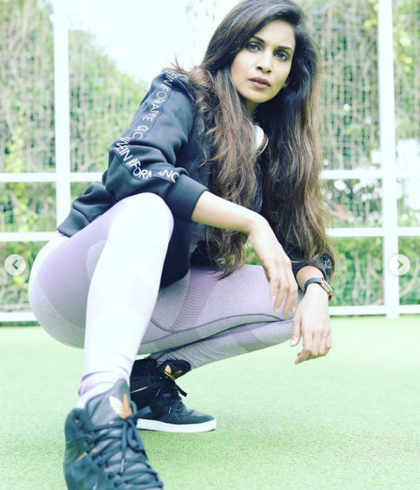 மாடர்ன் குதிரை 