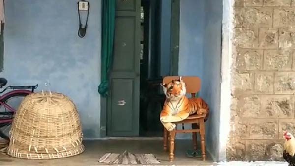 வனத்துறையிடம் புகார் 