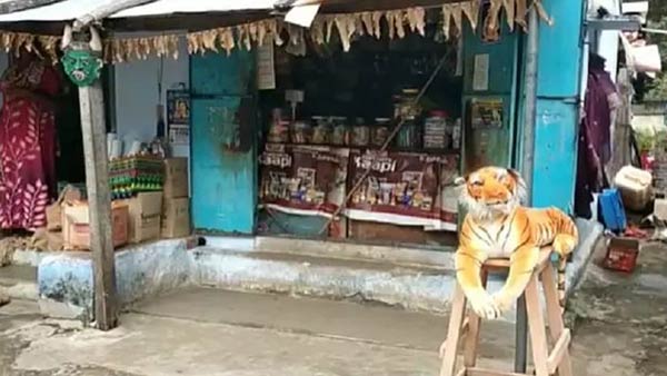 பொள்ளாச்சி 