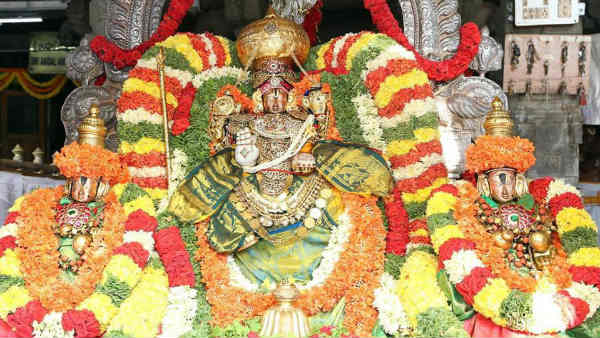 நலம் தரும் வாழ்க்கை 