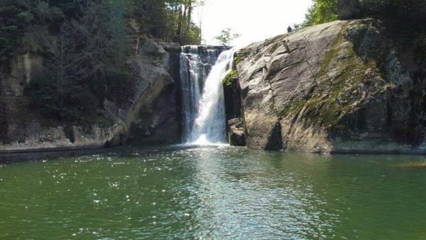 இயல்பு நிலையில் உலகம் 