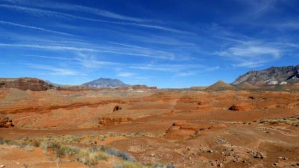 சமூகவலைதளவாசிகள் 