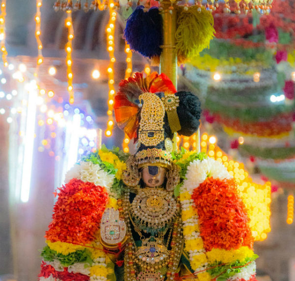 நம்பெருமாள் தரிசனம் 