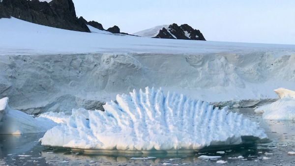 Govt 19 also infiltrated the polar region of Antarctica Govt 19 also infiltrated the polar region of Antarctica