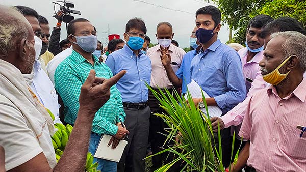 பயிர்கள் சேதம் 