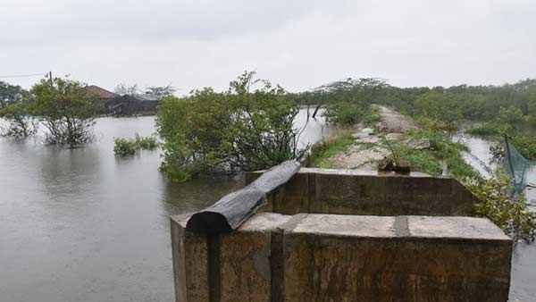 Cyclone Burevi hits Eelam Tamils Dists in North and East Srilanka 