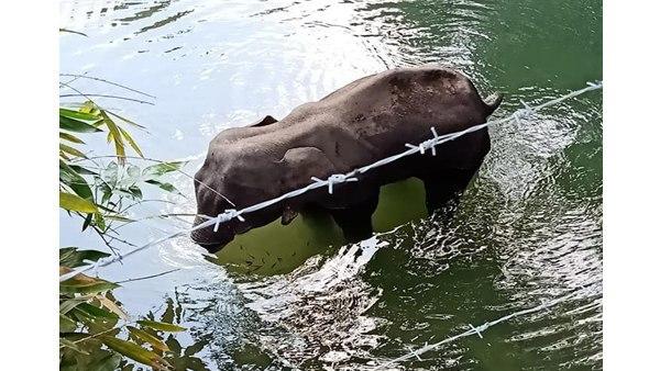  போஸ்ட் மார்ட்டம்