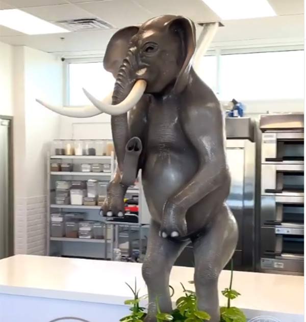 சாக்லேட் யானை