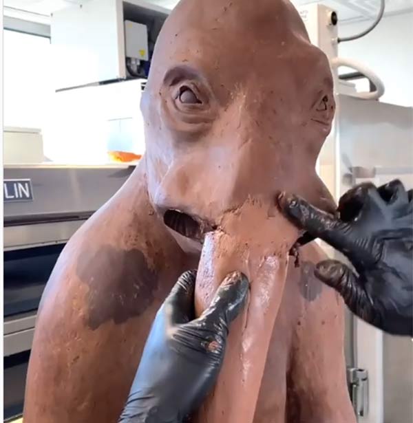 அமரிக்கு பாராட்டு