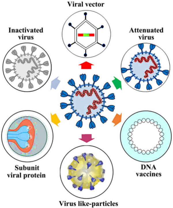  Dr Muthu Chellakumar says that Covid 19 vaccine cannot be avoided