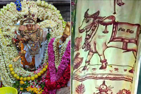 Arudra Darisanam 2020: Special abishegam of Natarajar in the pancha sabai of Lord Shiva 