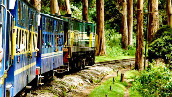 காவிவண்ணத்தில் பணி பெண் 