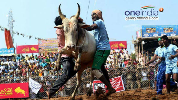  கொரோனா நெகட்டிவ் 