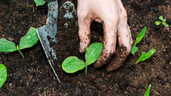 காலை புத்துணர்ச்சி 