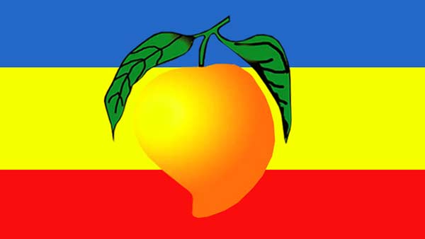  இடைத்தேர்தல்