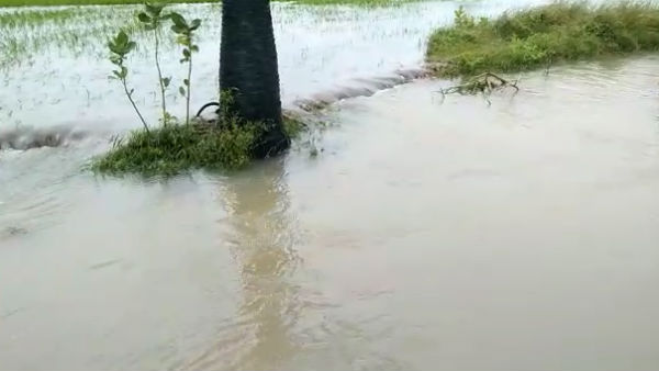 அடிப்படை வசதிகள் அடிப்படை வசதிகள்