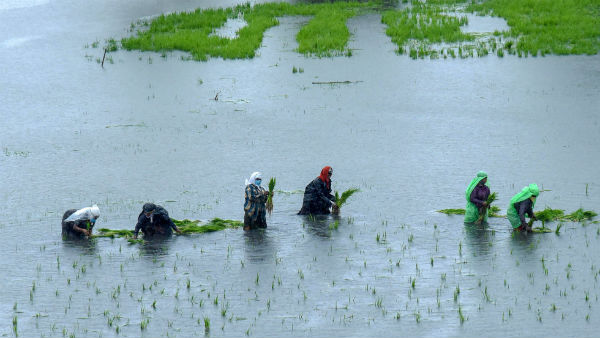 Rain lashes Tamilnadu including Chennai from night 
