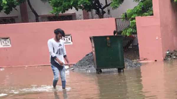 தலைஞாயிறு 