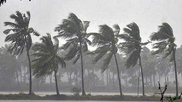 தமிழகம் 