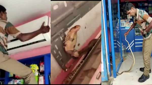 cobra snake lives inside the AC machine of a cell phone shop near Poonamallee cobra snake lives inside the AC machine of a cell phone shop near Poonamallee