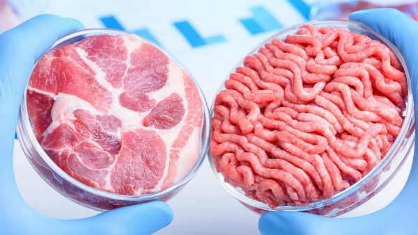 இறைச்சி கூடங்கள் இறைச்சி கூடங்கள்