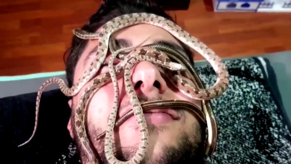 புத்துணர்ச்சி புத்துணர்ச்சி