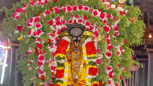 Karthigai Deepam: Worship in Srirangam by lighting the Chokappana - Devotees chanting Ranga 