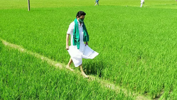 செப்டம்பர் 2020 